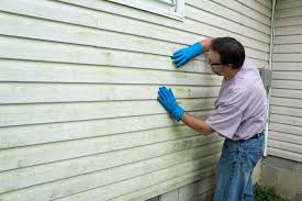 Affordable Siding Repair and Maintenance Services in Reedsburg, WI